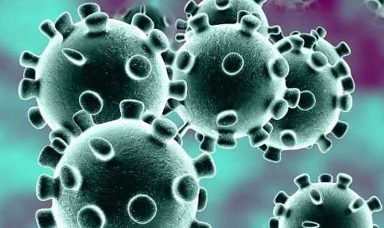 Coronavirus: A Public Health Call for Proactive Thinking